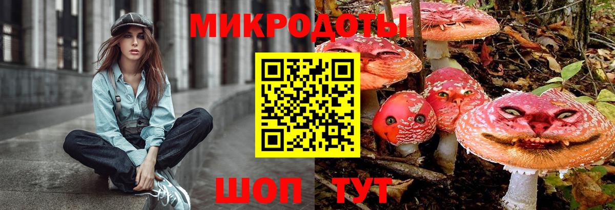 Черняховск  Псилоцибиновые грибы Psilocybe  Вход с VPN 