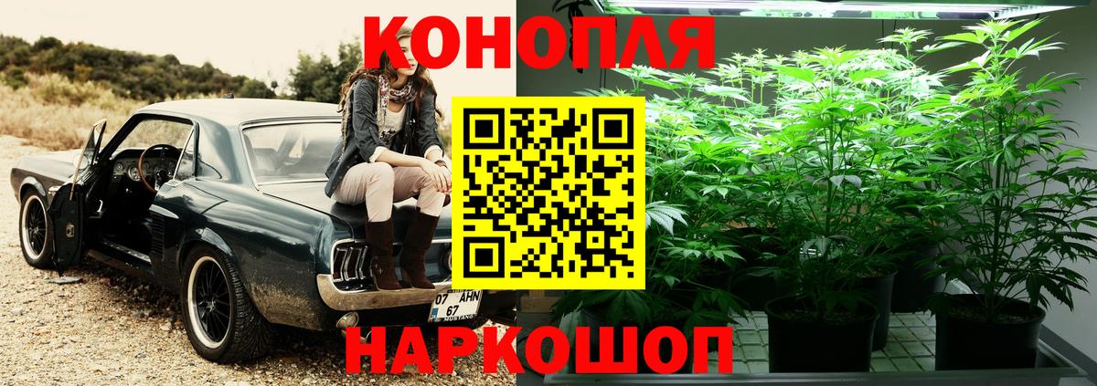 Бошки марихуана ГИДРОПОН  Бошки марихуана сатива  Черняховск  Бошки Шишки план  Вход с VPN  Канабис SATIVA & INDICA 